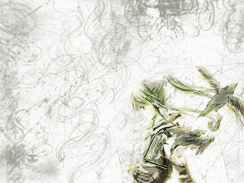 anime character with birds