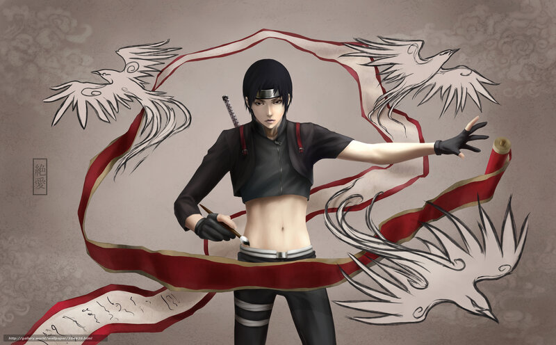 Anime Character with Birds — Black, Dramatic