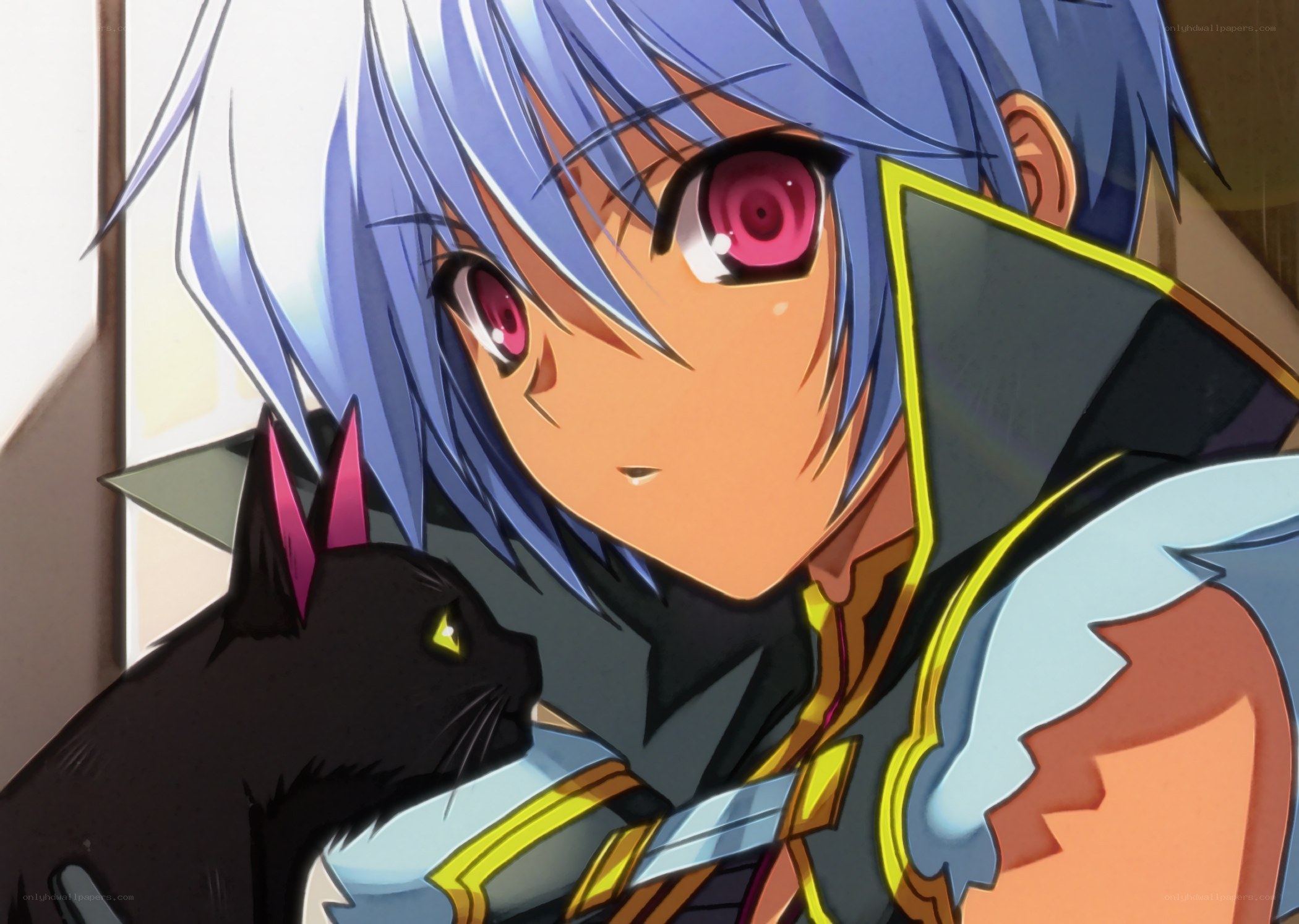 anime character with black cat