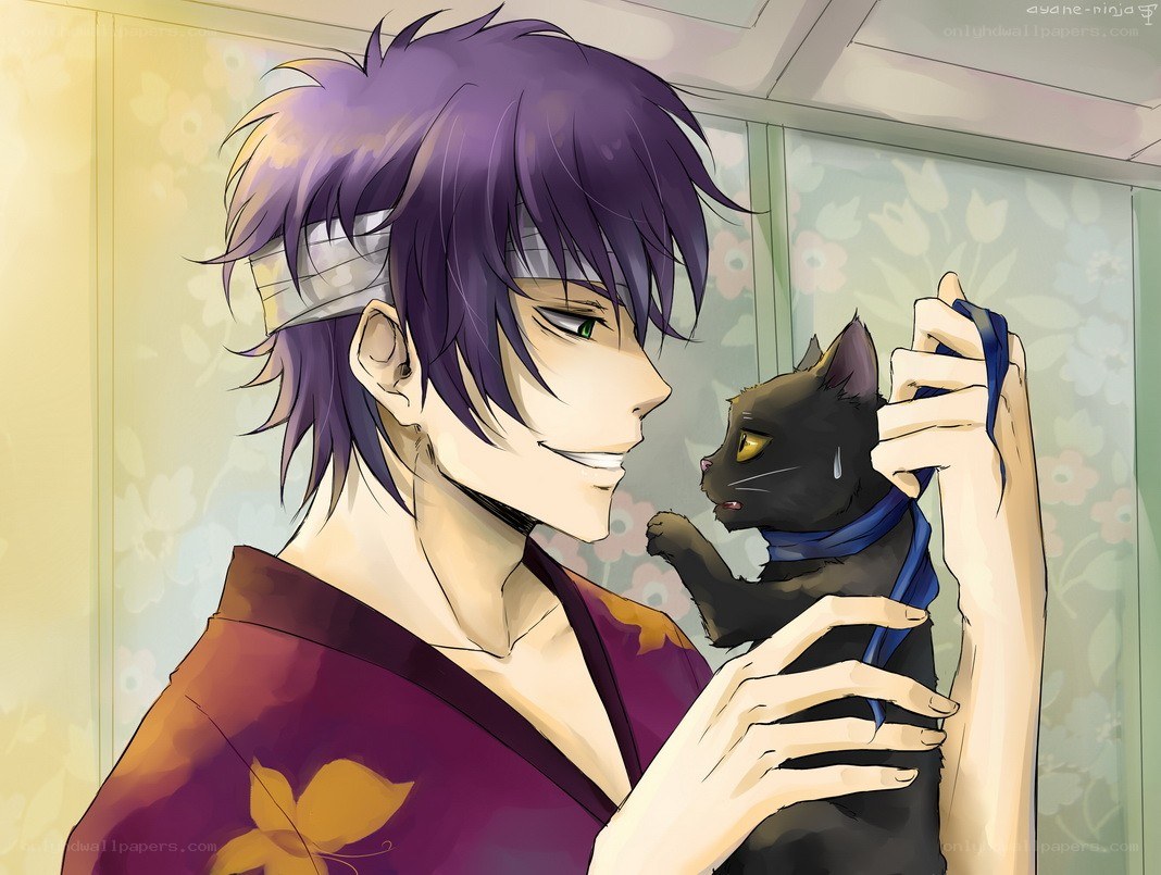 Anime character with black cat