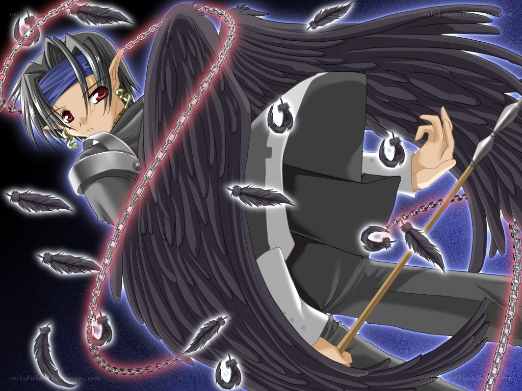 anime character with black wings