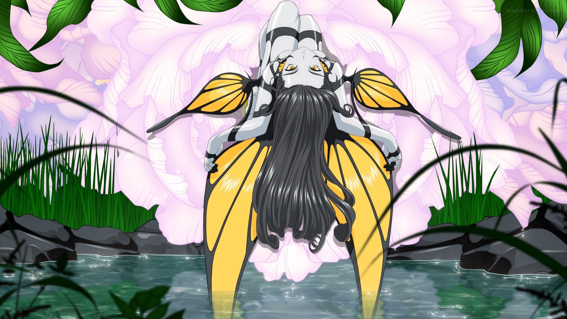 anime character with butterfly wings
