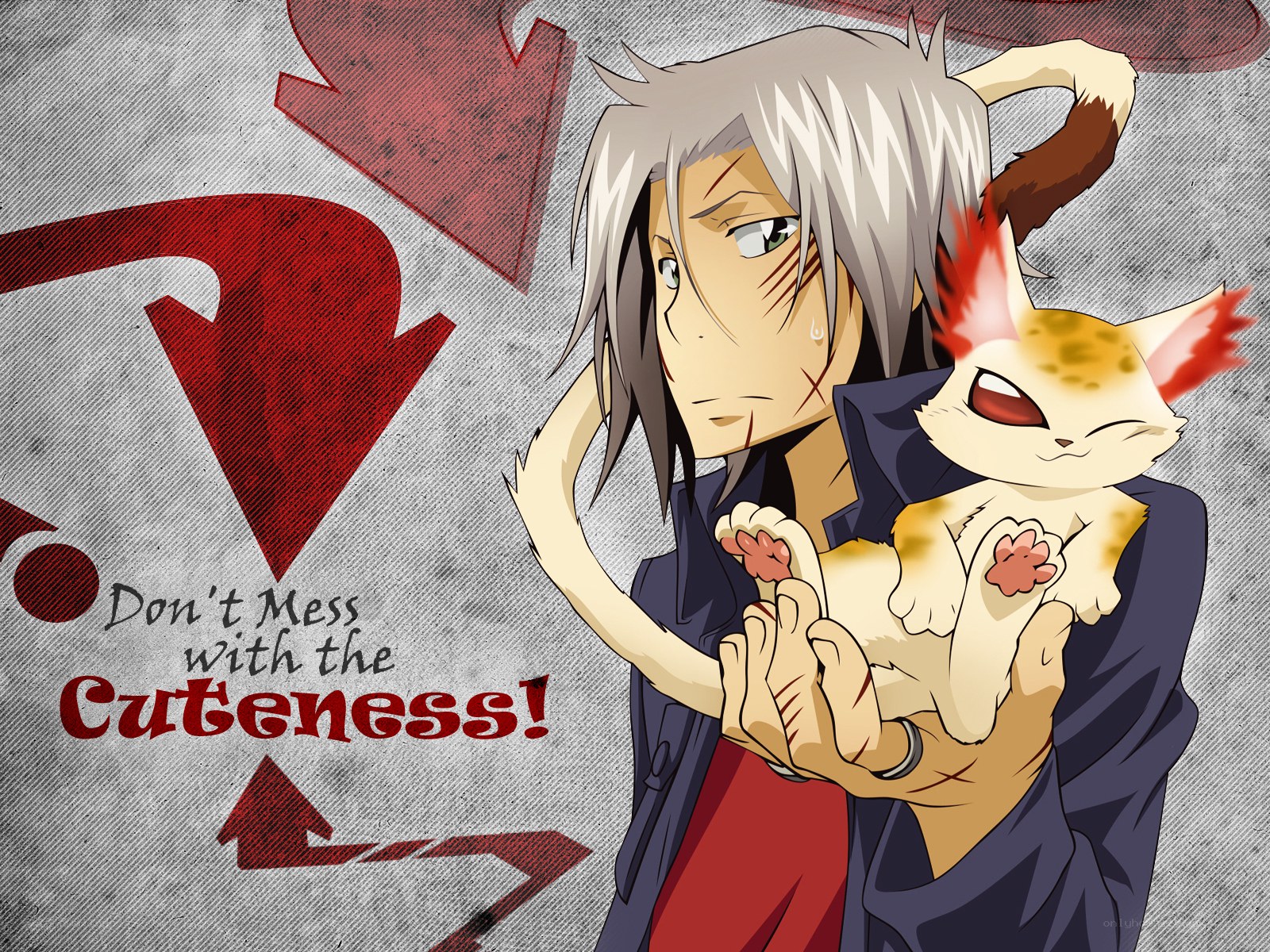 Anime character with cat