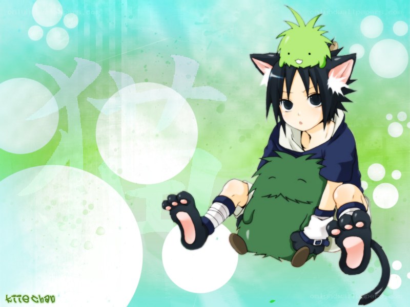 anime character with cat ears