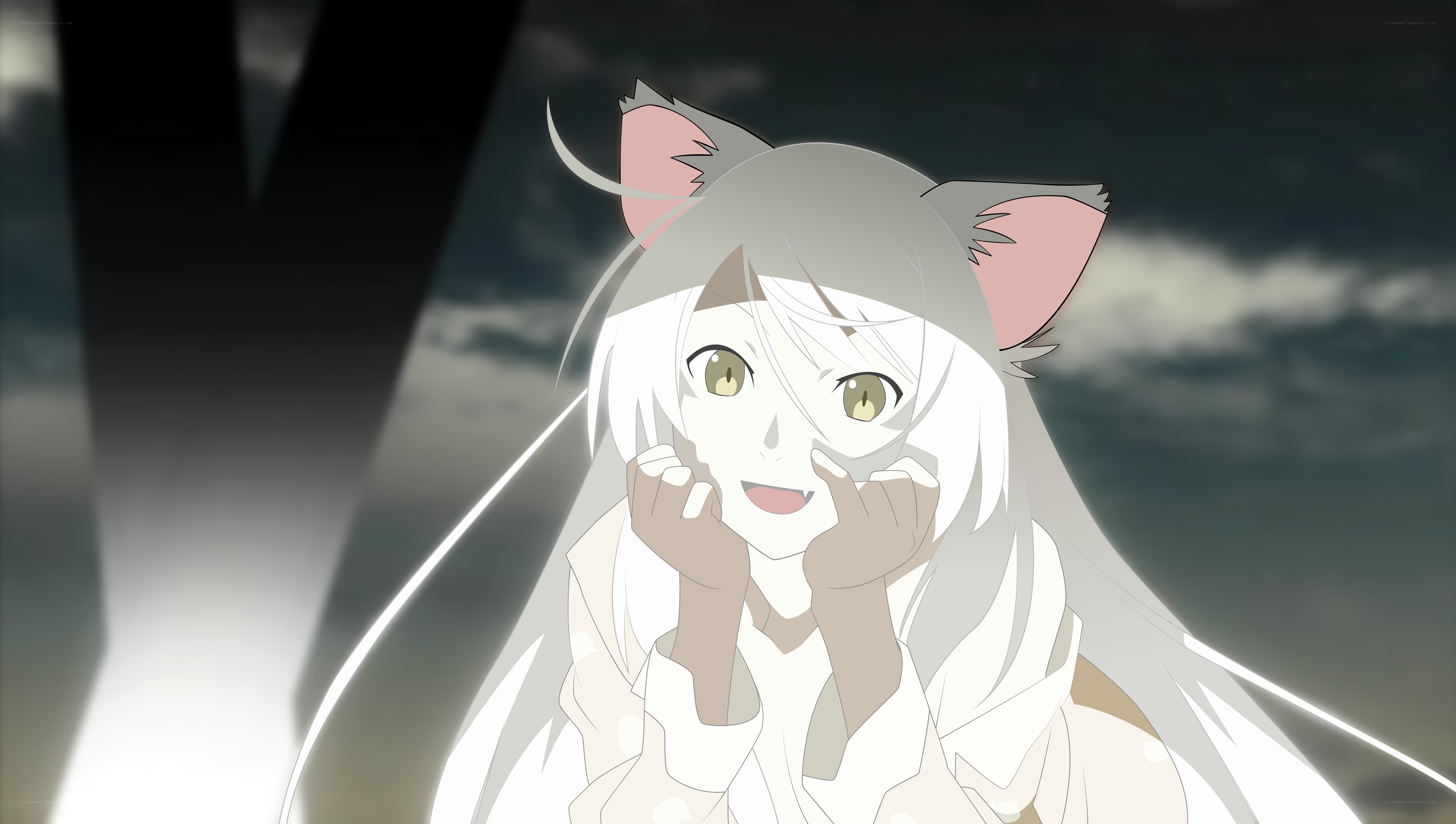 anime character with cat ears