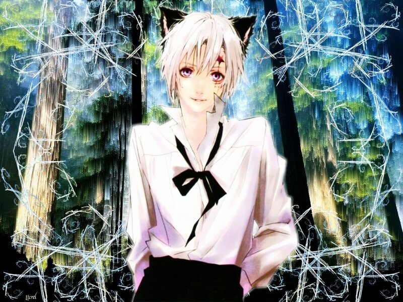 Anime Character with Cat Ears — White, Mysterious