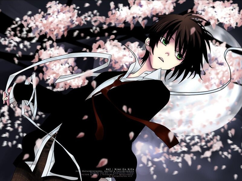 Anime character with cherry blossoms