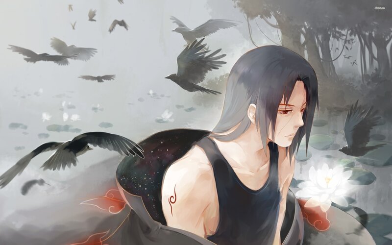 Anime Character with Crows — Gray