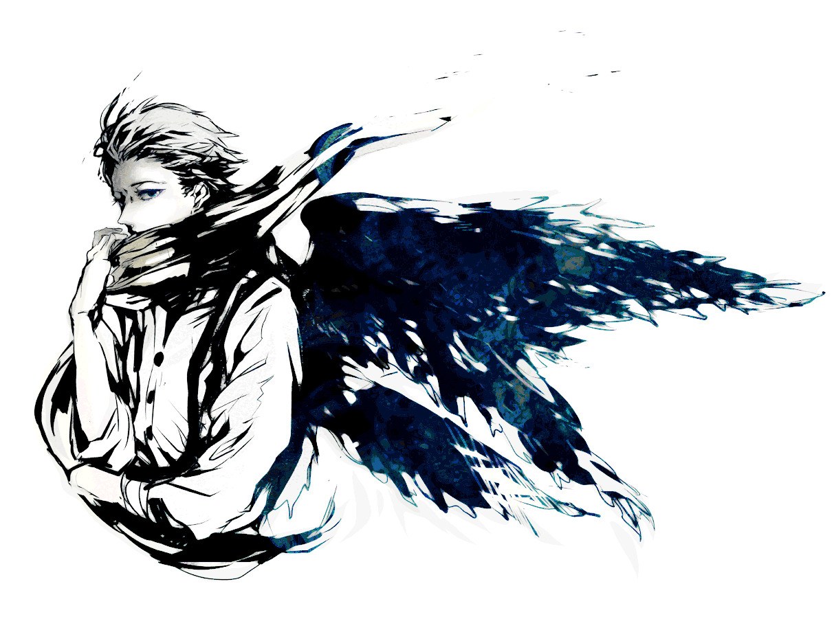 anime character with dark wings