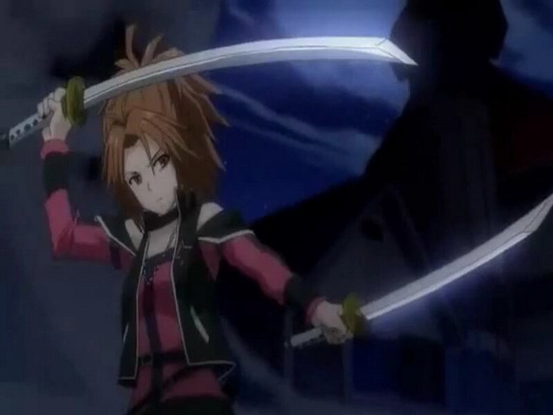 Anime character with dual swords