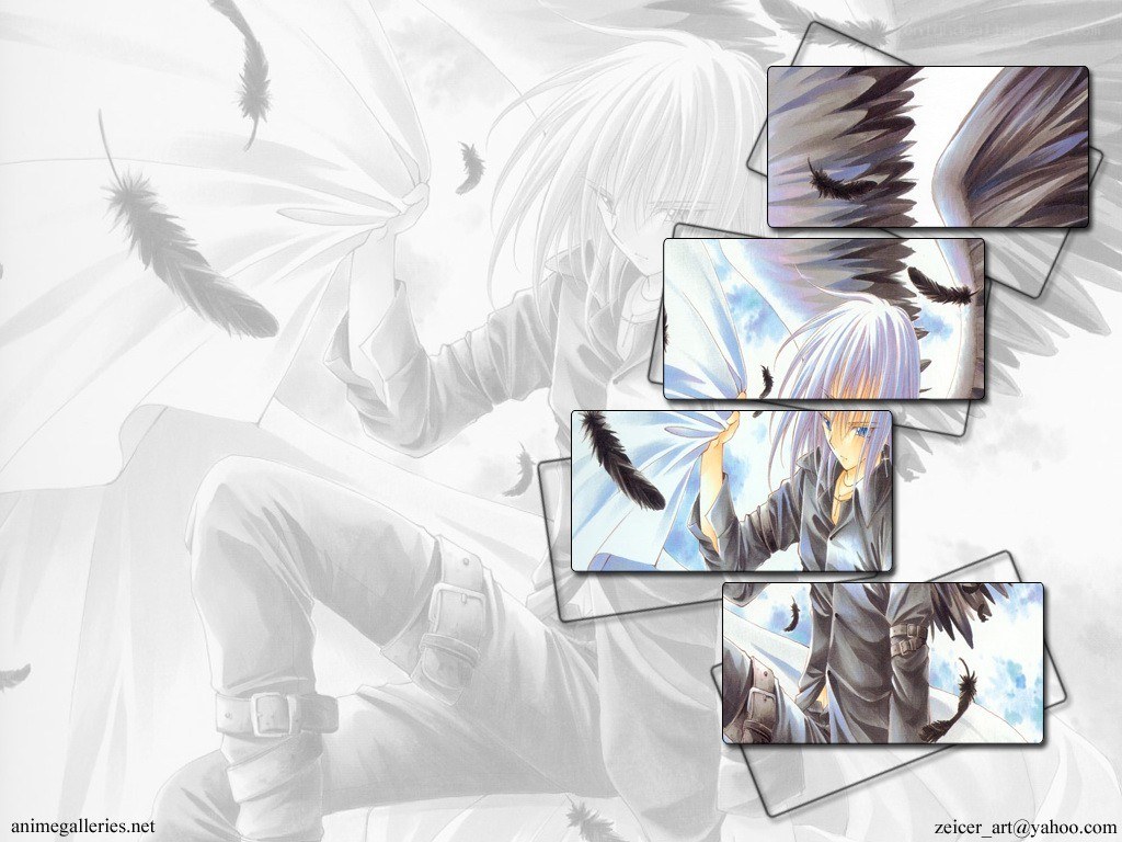 anime character with feathers