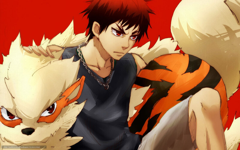 anime character with fox creatures