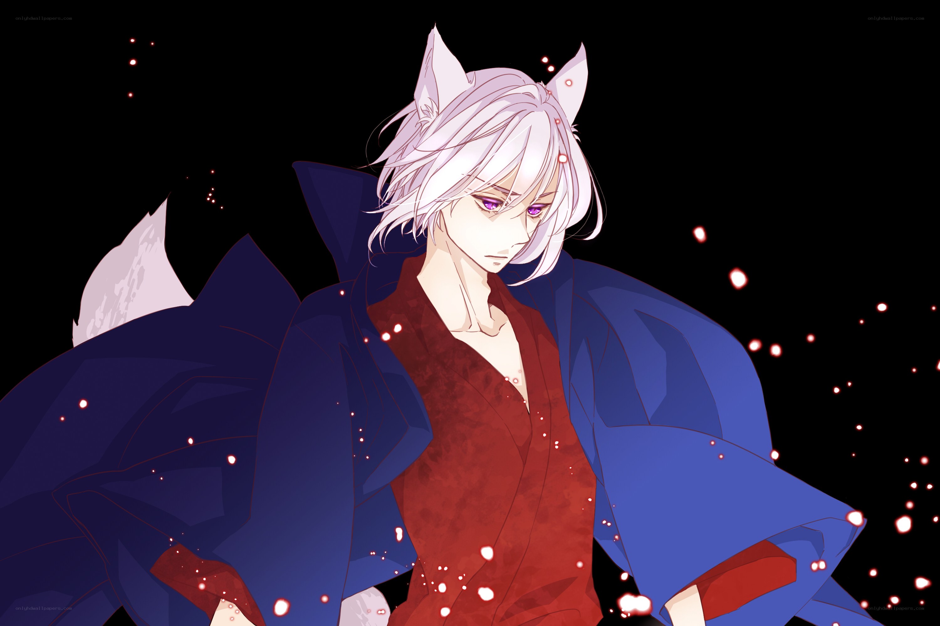 anime character with fox ears