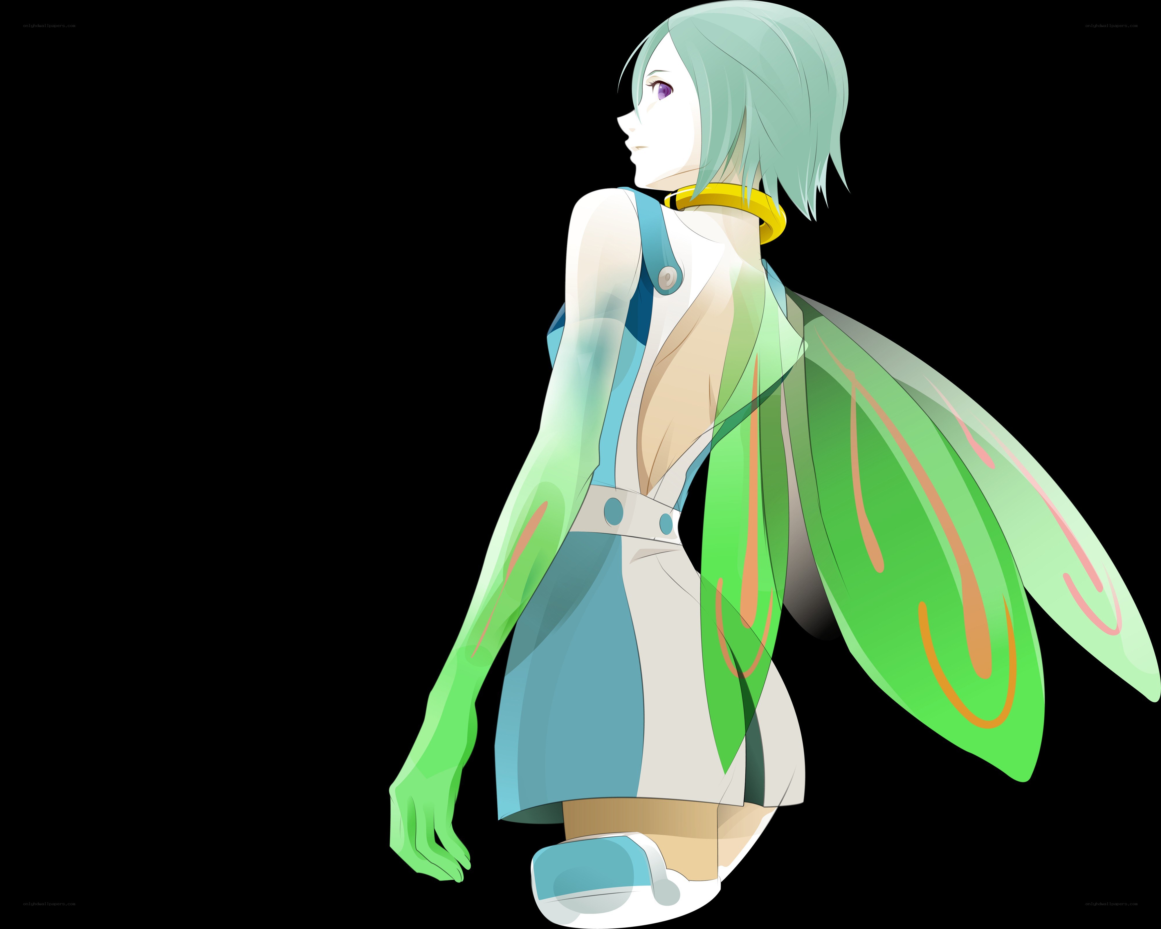 anime character with green wings
