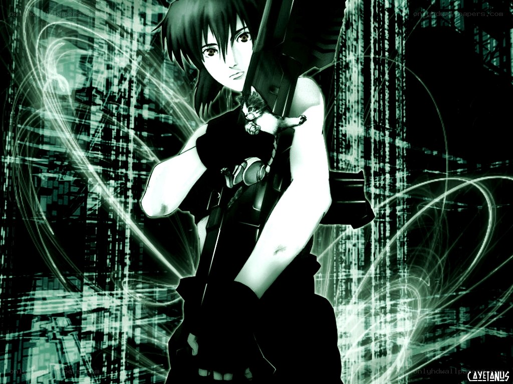 anime character with gun and cat