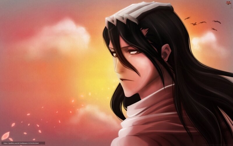 Anime Character with Long Hair — Orange, Dramatic, Sunset