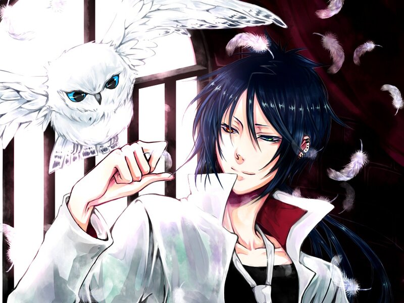 Anime Character with Owl — Black, Dramatic