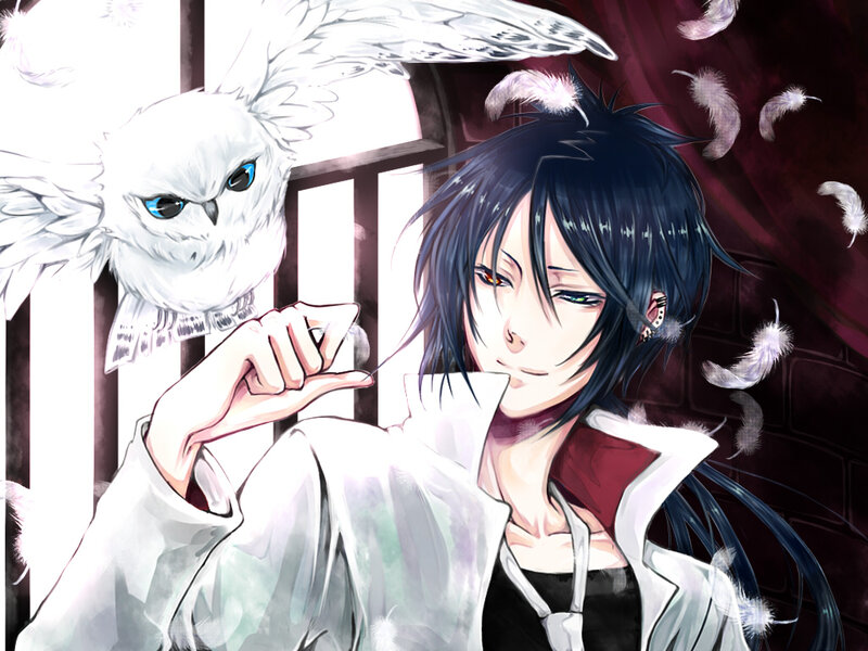 Anime Character with Owl — Black