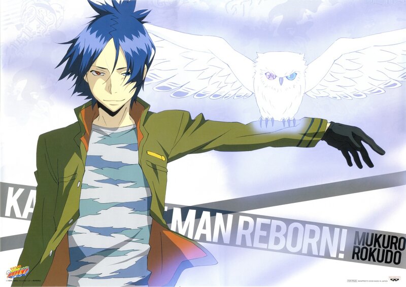 anime character with owl