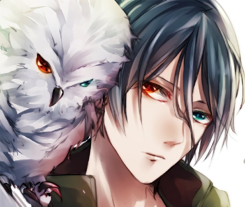 Anime Character with Owl — White