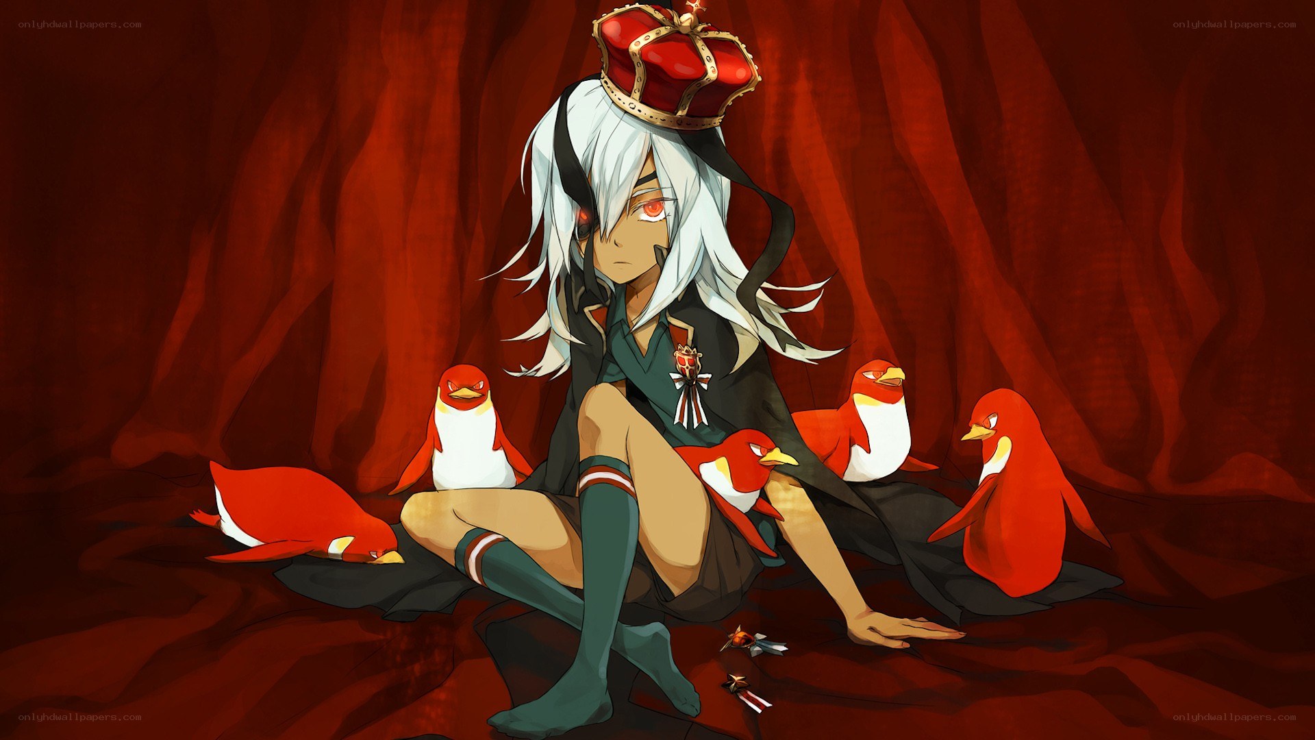 anime character with penguins