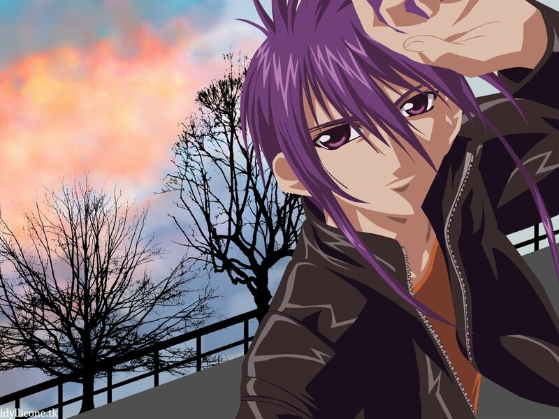 Anime Character with Purple Hair — Dramatic, Sunset, Tree