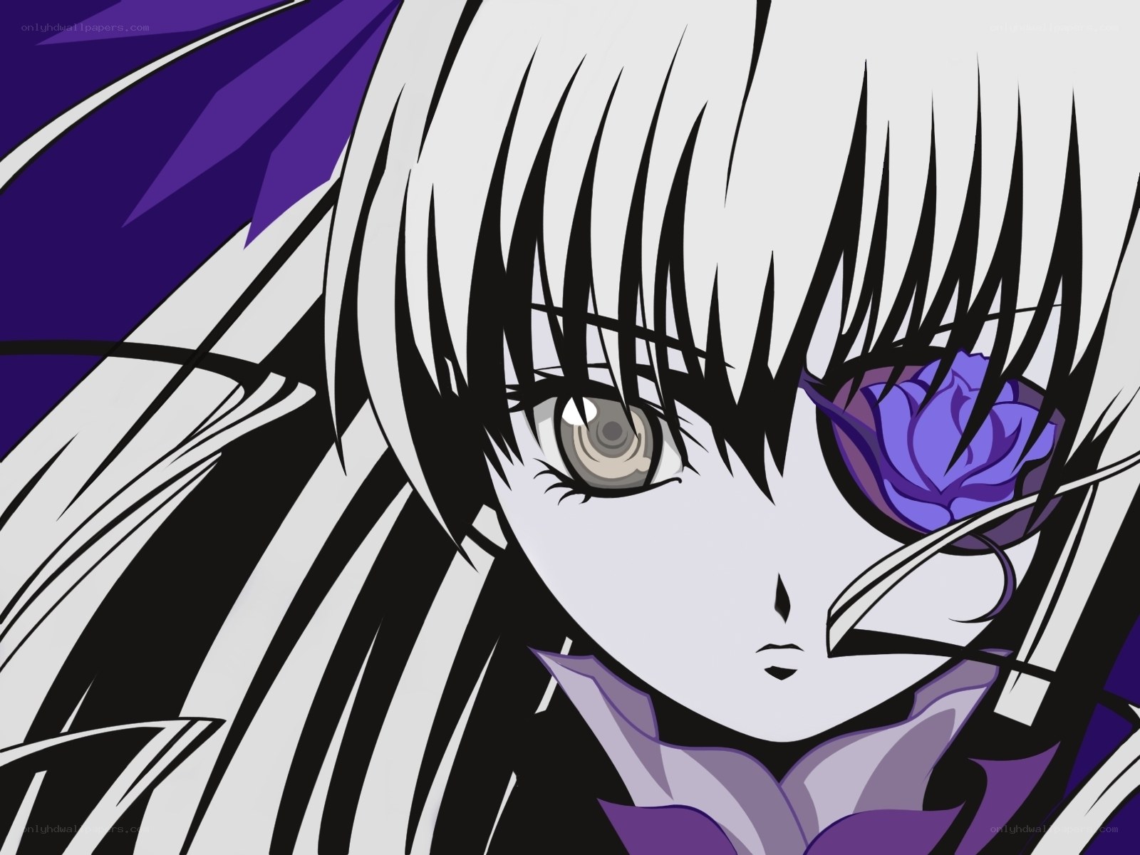 anime character with purple rose