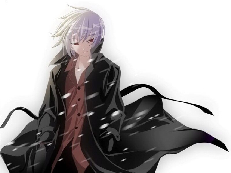 Anime Character with Silver Hair — Black