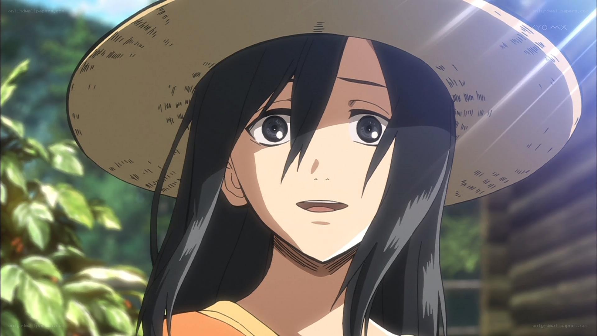 anime character with straw hat