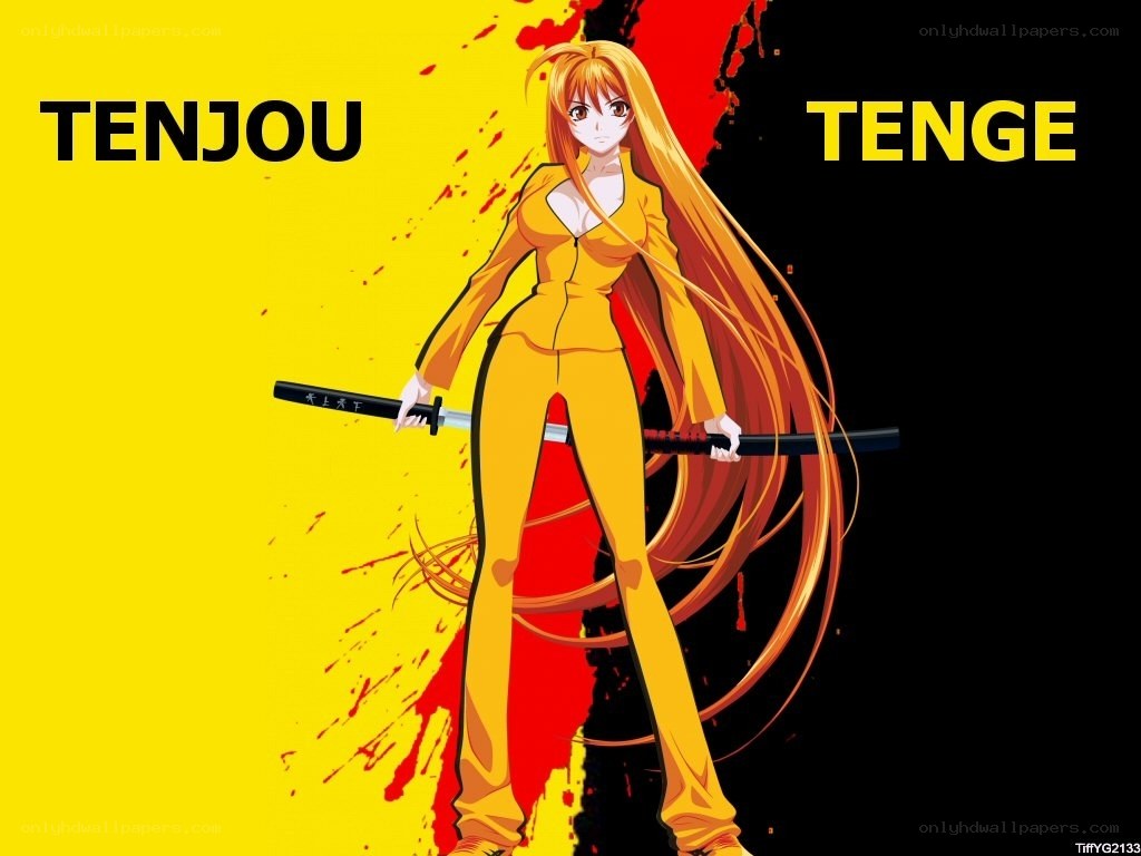 Anime character with swords