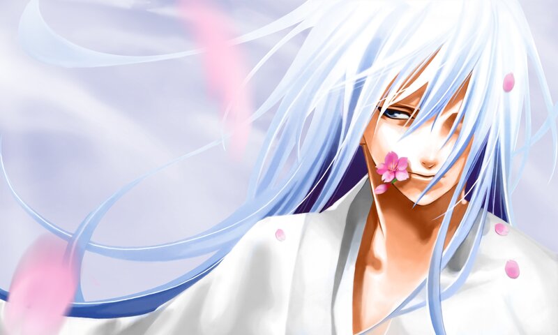 anime character with white hair