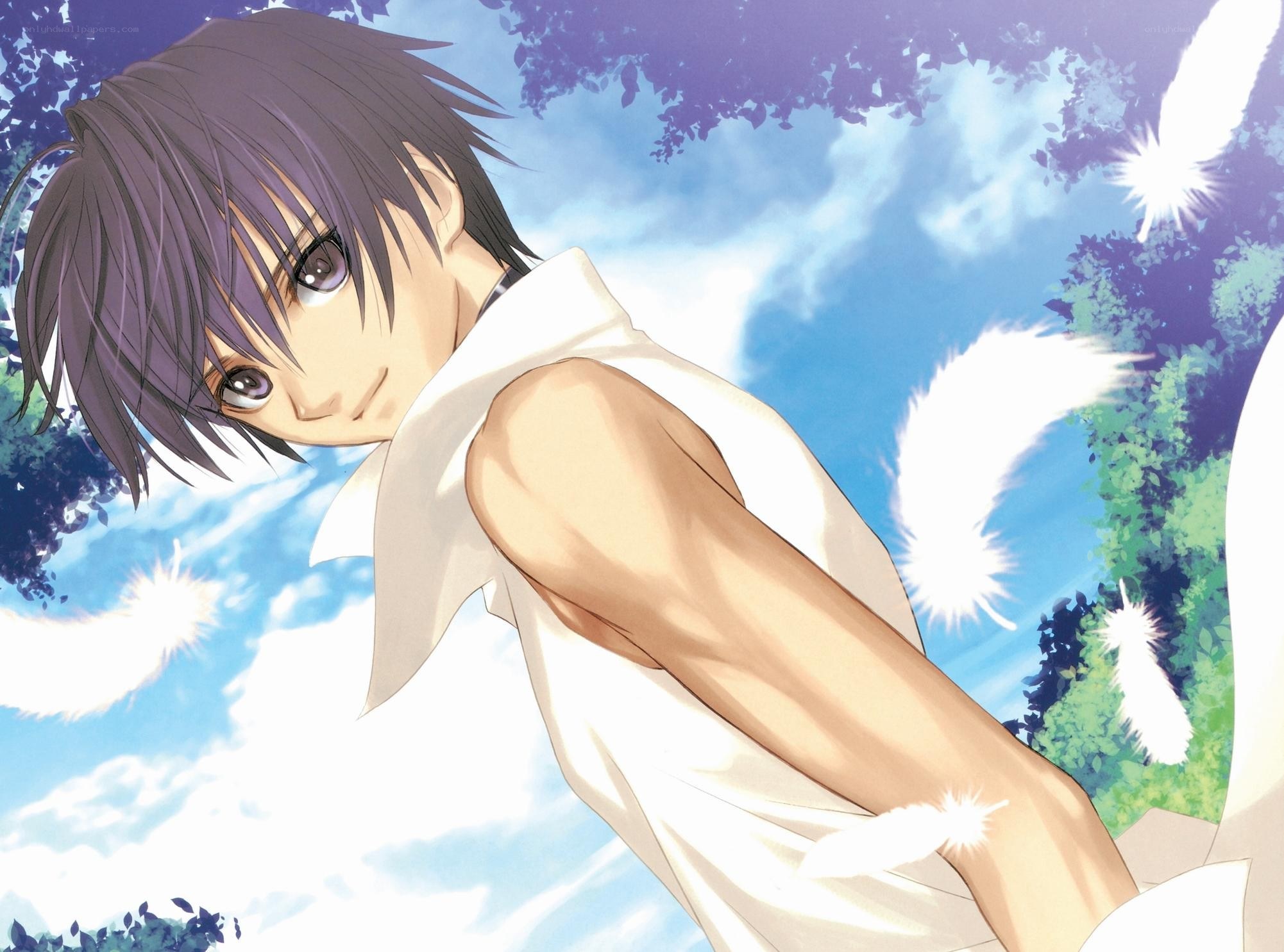 anime character with white wings