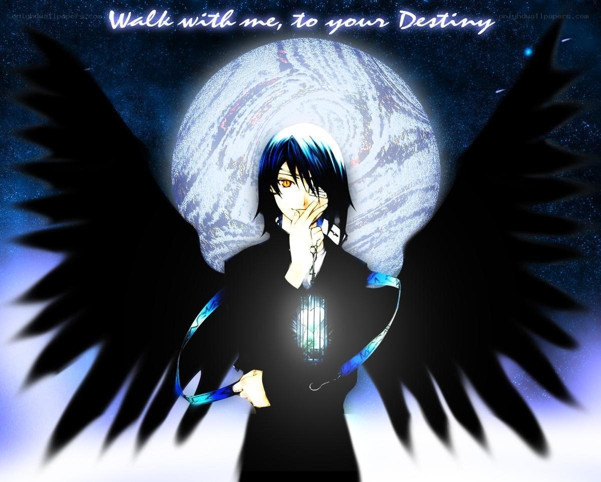 anime character with wings