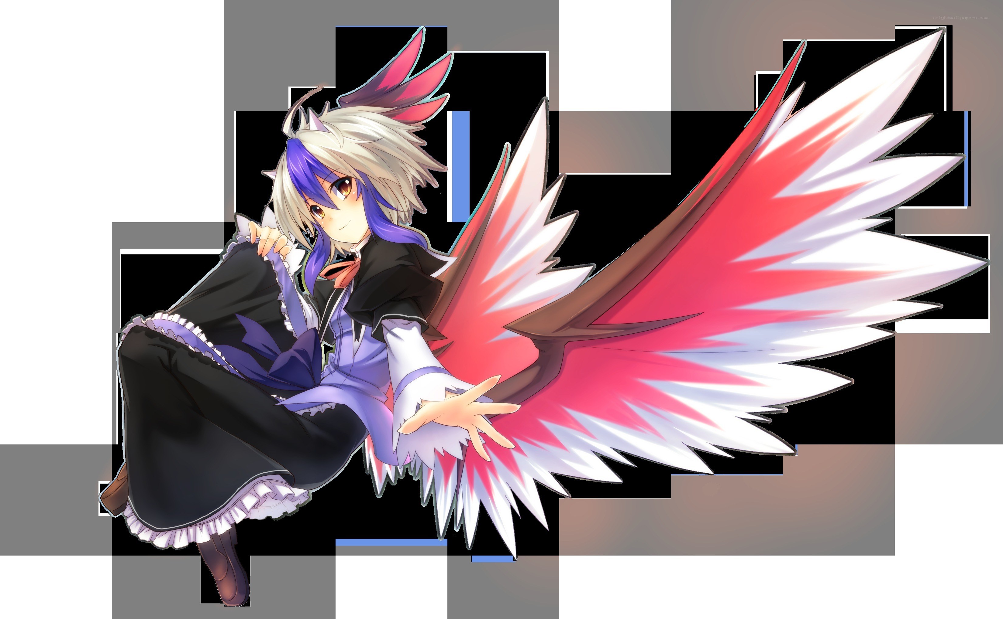 anime character with wings