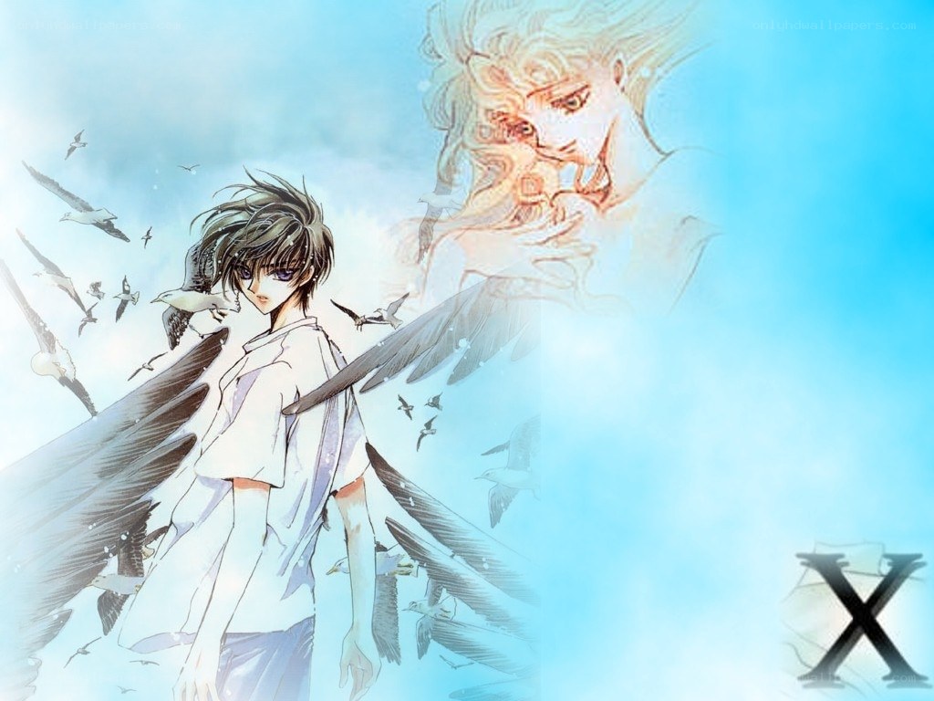 Anime character with wings and birds