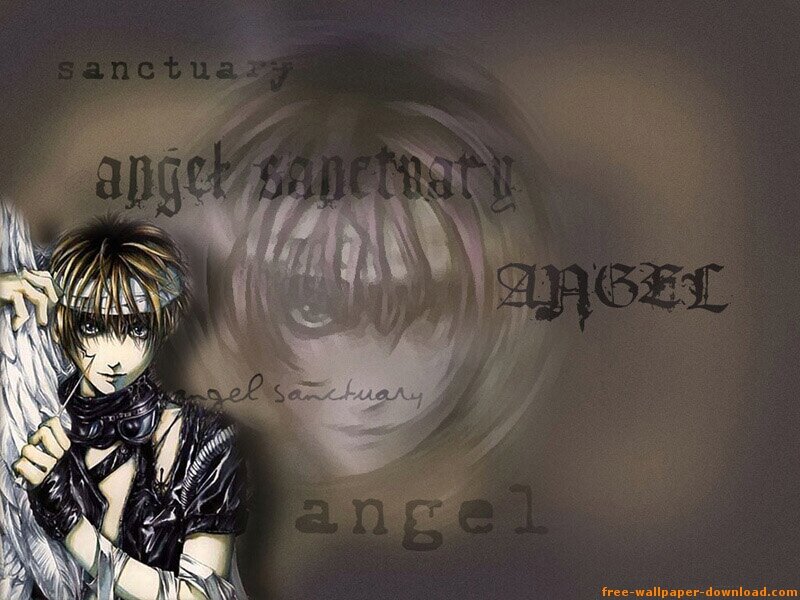 Anime Character with Wings — Brown, Dramatic, Manga