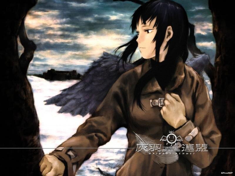 Anime Character with Wings — Brown, Dramatic, Sunset