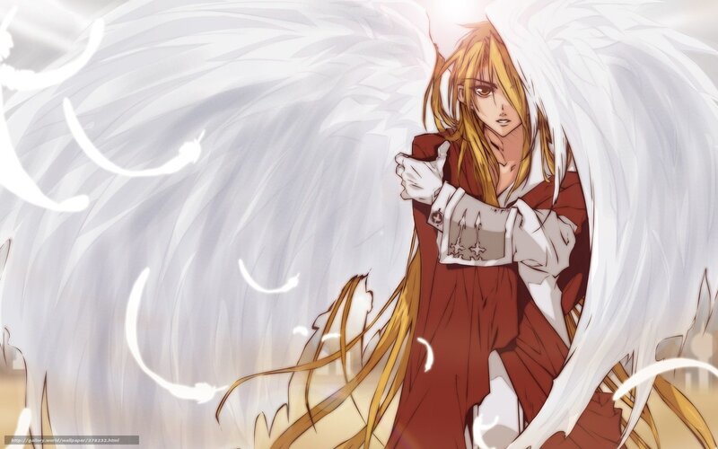 Anime Character with Wings — White, Dramatic, Manga, Long Hair