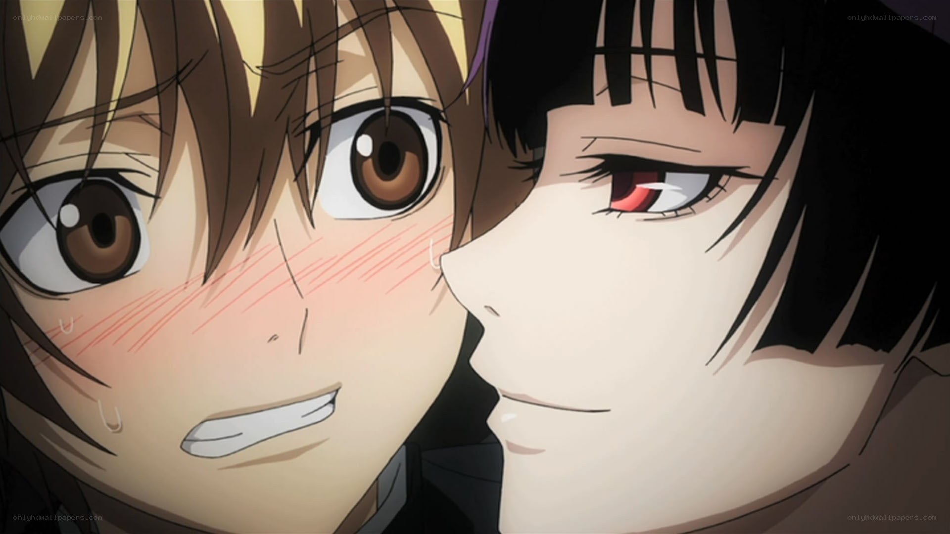anime characters close-up