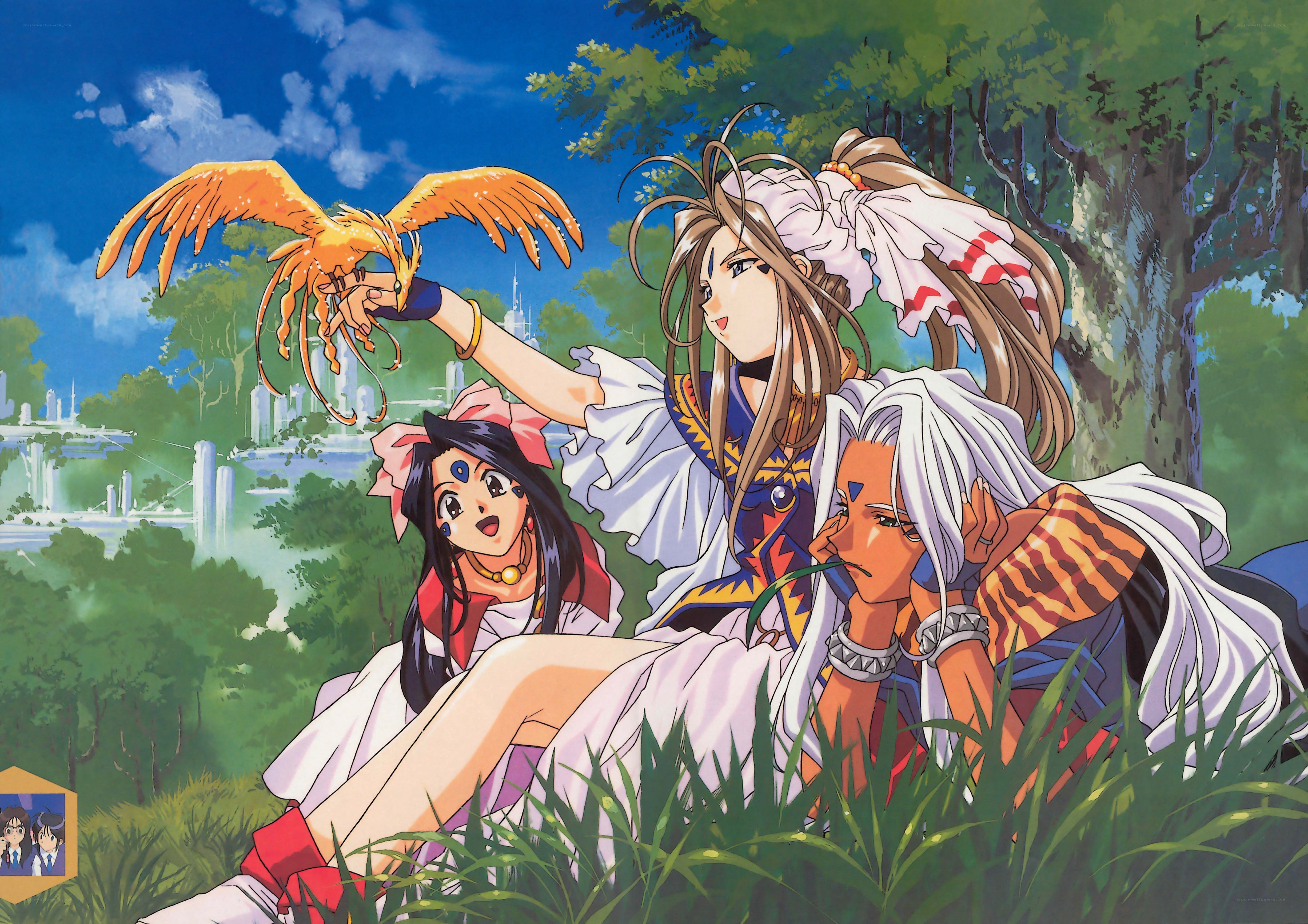 anime characters in a field