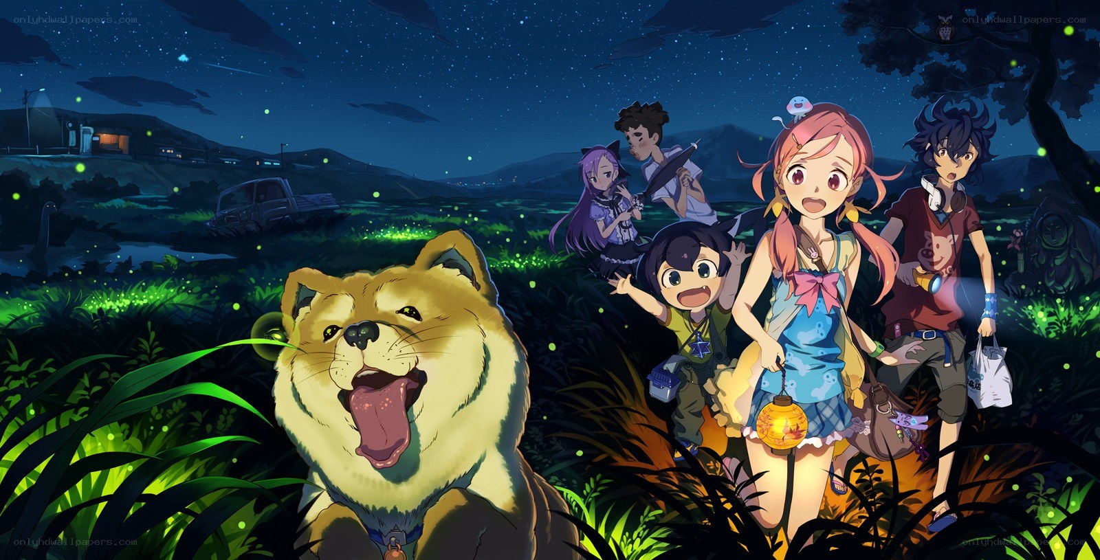 Anime characters in a field at night