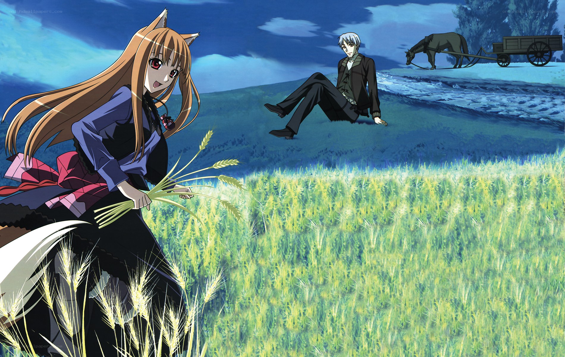 Anime characters in a wheat field