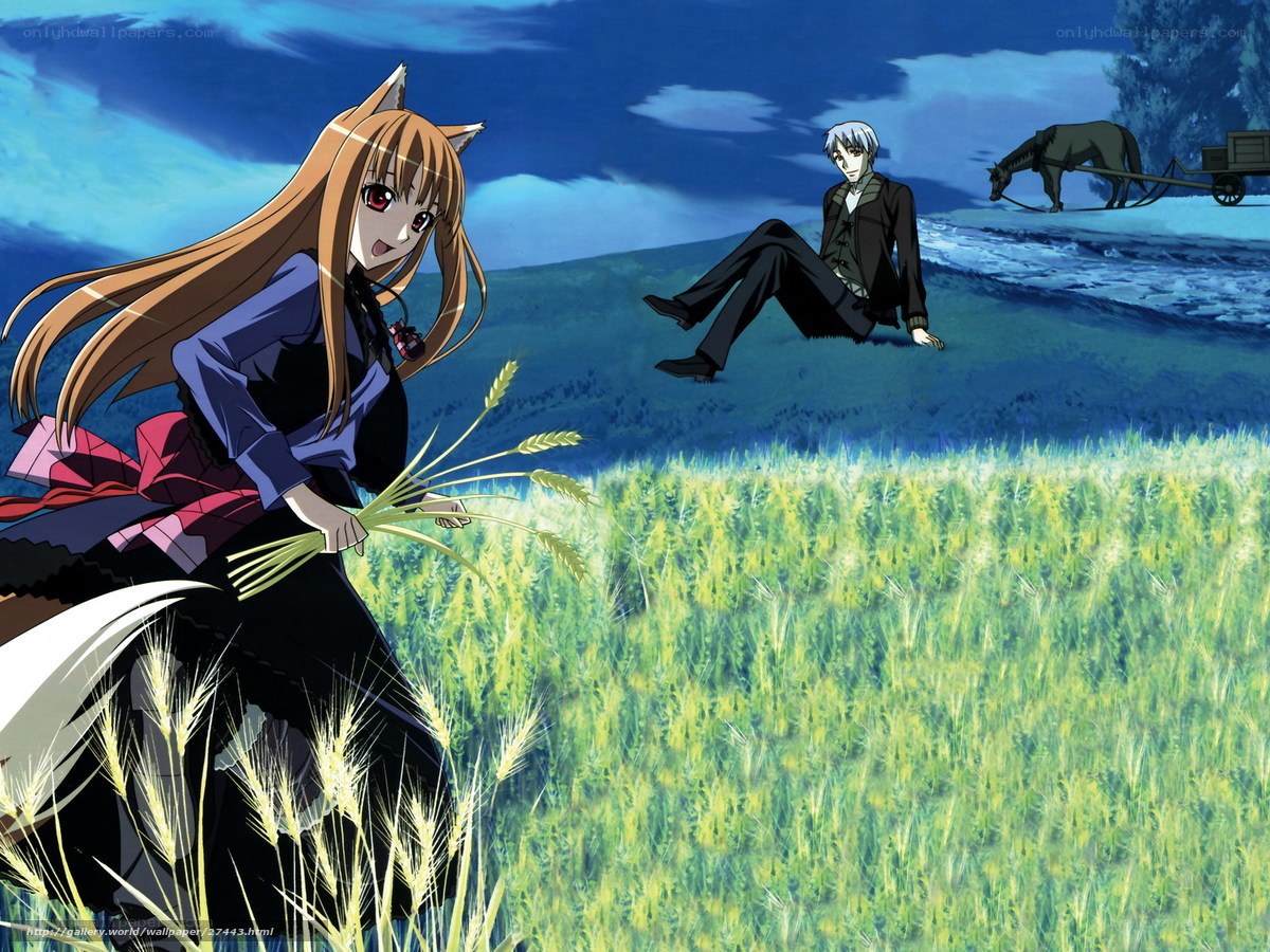Anime characters in a wheat field