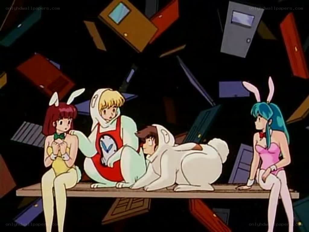 anime characters in bunny suits