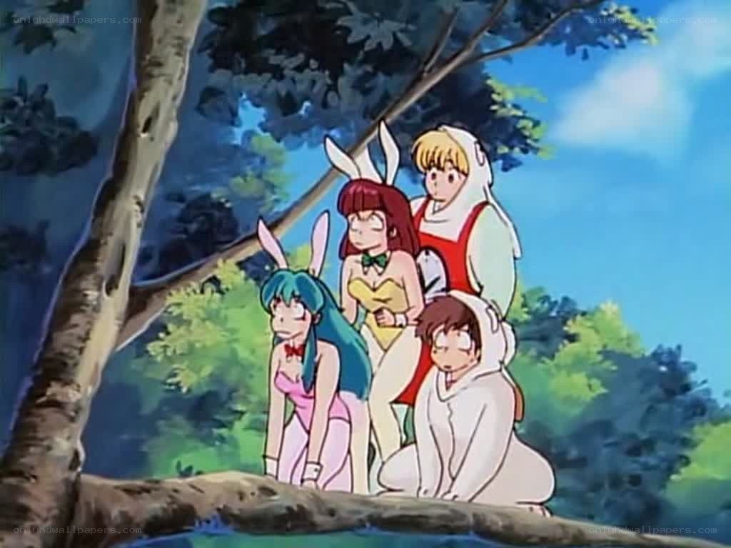 anime characters in bunny suits