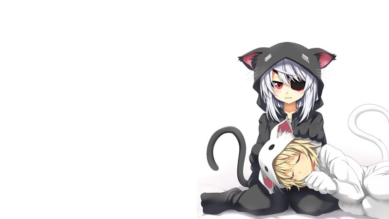 Anime Characters in Cat Costumes