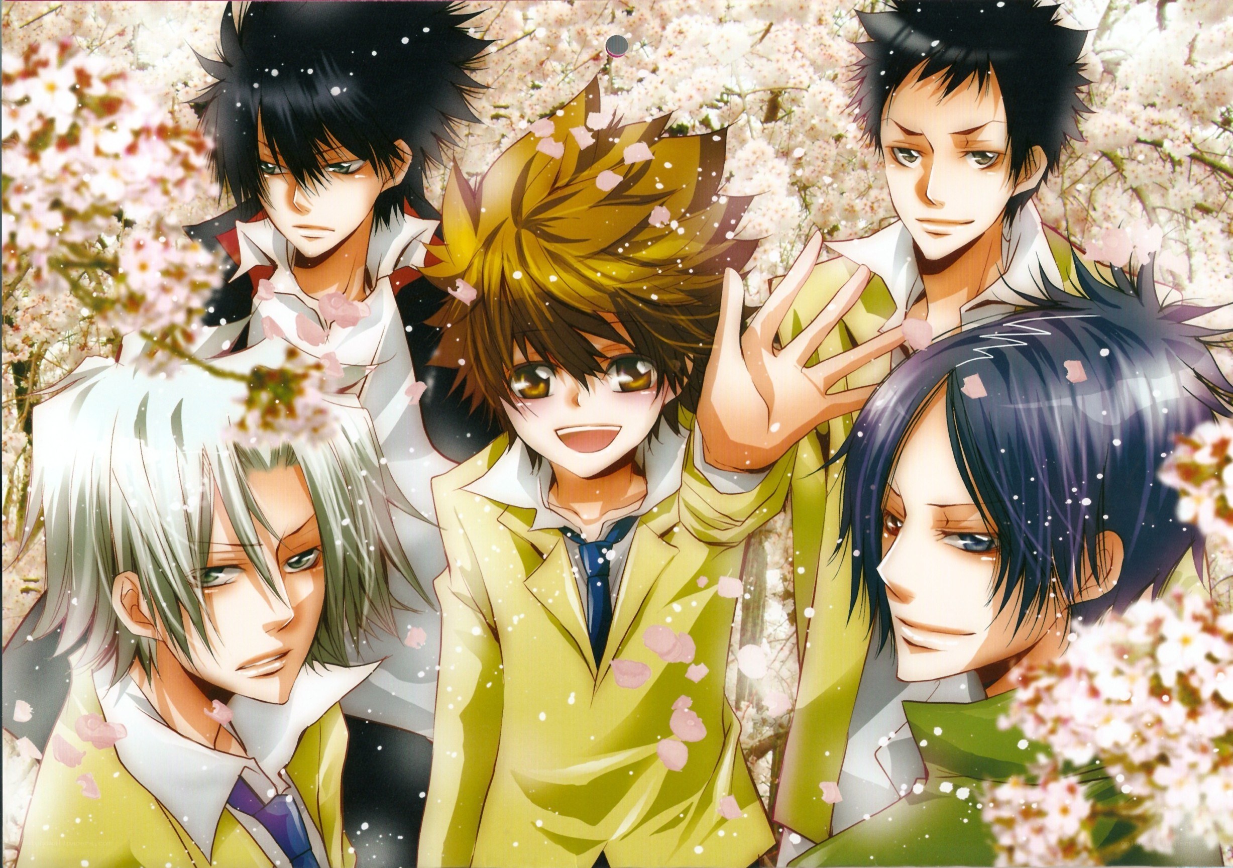 anime characters in cherry blossoms