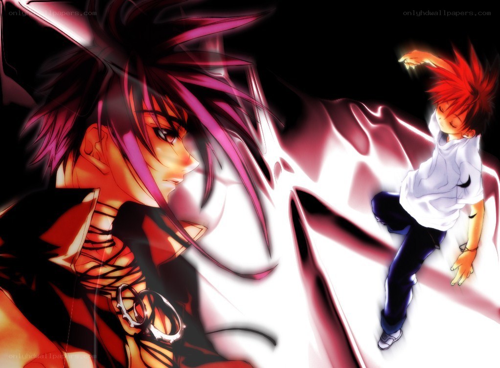 Anime characters in combat