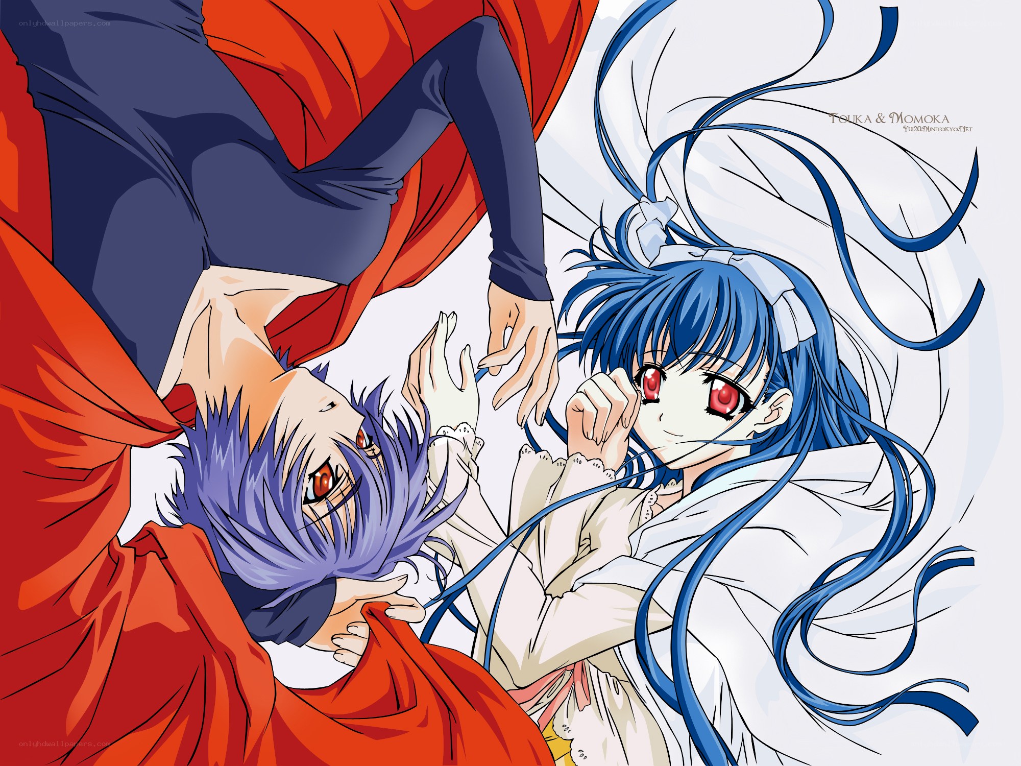 Anime characters in dynamic pose