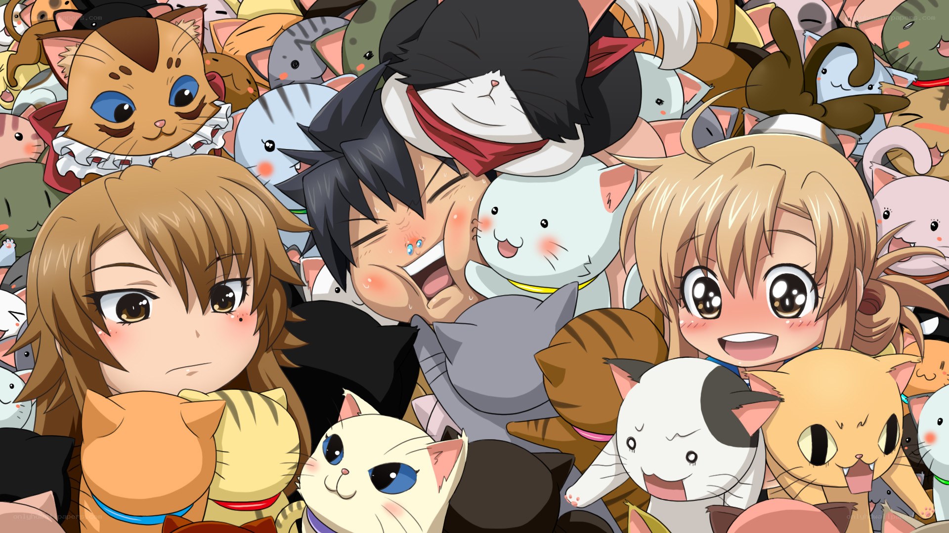 anime characters surrounded by cats